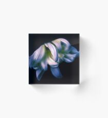 Light Catcher Acrylic Block