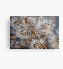 Flower hazard Metal Print