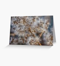Flower hazard Greeting Card