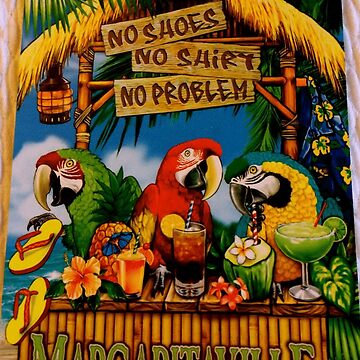  No Shoes No Shirt No Problem Margaritaville Parrot