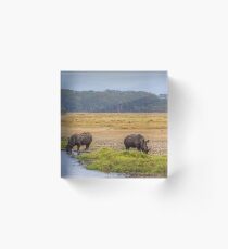 Kenya. Rhinos. Acrylic Block
