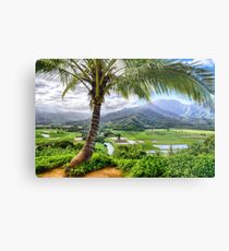 Tropical Palm Tree in Kauai, Hawaii Metal Print