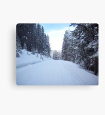 Deserted Beaver Creek Slopes Canvas Print