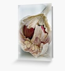 Garlic Greeting Card