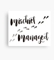 Mischief Managed Canvas Print