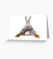 Cute Bunny Rabbit Schwanz Hintern Bild Bild Grußkarte