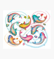 Summer Koi Photographic Print