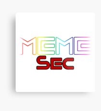 Meme-sec Metal Print