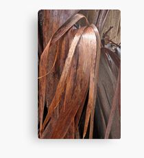 Eucalyptus Unclothed 4 Metal Print