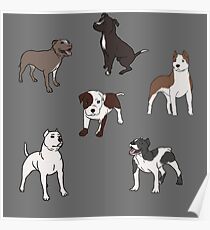 Pit bull party Poster
