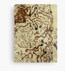 Rockpool Metal Print