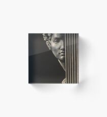 Giuliano de Medici Acrylic Block