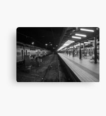 Central Station, Sydney. Canvas Print