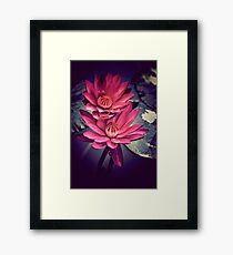 Universal Language Framed Print