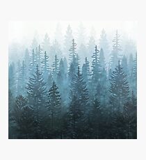 My Misty Secret Forest Photographic Print