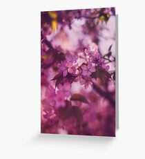 Flowers - pattern/texture design inspired by SPRING 2018 Greeting Card