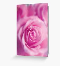 Flowers - Rose pattern/texture design inspired by SPRING 2018 Greeting Card
