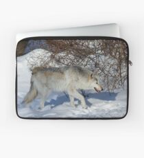 Rocky Mountain gray wolf Laptop Sleeve