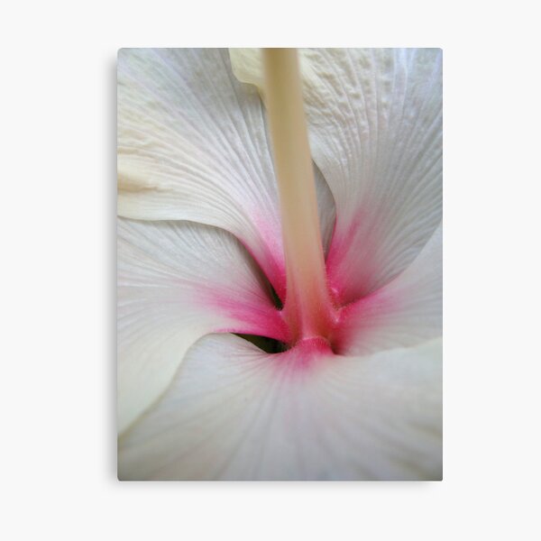 Exposed Canvas Print