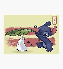 The Spirit of Ohana Photographic Print