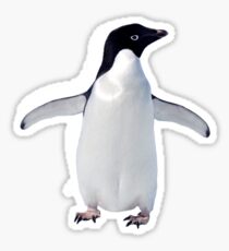 Adorable Adelie Sticker