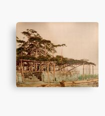 Karasaki Pine Tree Metal Print