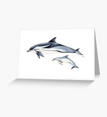Striped dolphin Greeting Card