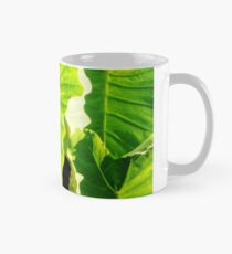 Von der Morgensonne geküsst Tasse (Standard)