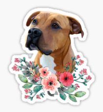 Pit bull, Pit bull with flowers, Pit bull Portrait, APBT Sticker