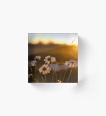 White Flowers and sunset Acrylic Block