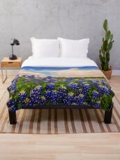 Manta Bluebonnet Texas