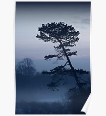 Winter Tree Poster