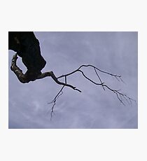 Burned Photographic Print