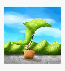 Topiary Dolphin Photographic Print