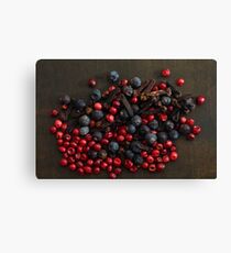 Different spice berries Canvas Print