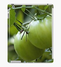 Green Tomatoes on the Vine iPad Case/Skin