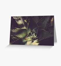 Aloe vera Greeting Card