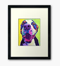 Happy Pit Bull - Smiling Colorful Pitbull Dog Framed Print