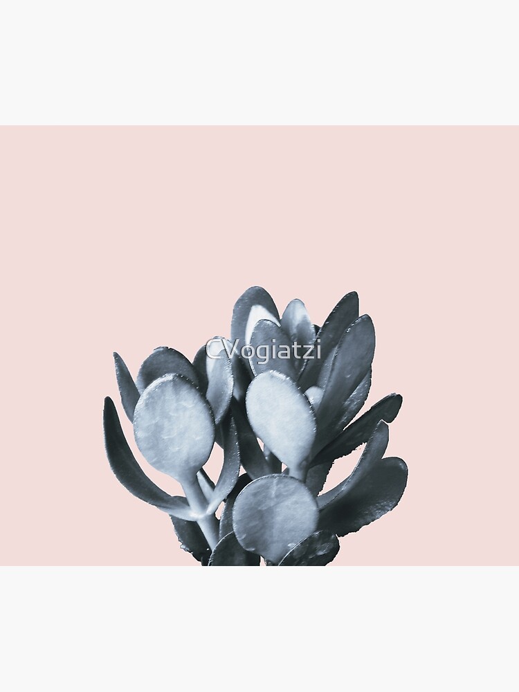Cactus collection BL-II by CVogiatzi
