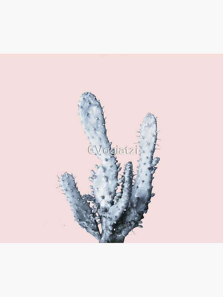 Cactus collection BL-I by CVogiatzi