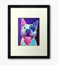 Happy Pit Bull - Slobbery Smiling Colorful Pitbull Dog Framed Print