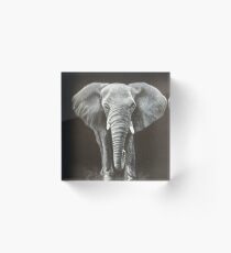African Elephant Acrylic Block