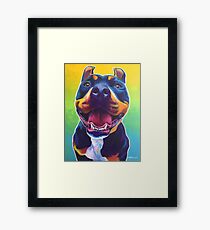 Happy Pit Bull - Slobbery Smiling Colorful Pitbull Dog Framed Print