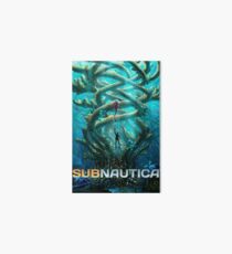 Lámina rígida subnautica 2