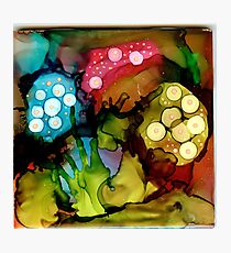 Three Mushrooms Photographic Print