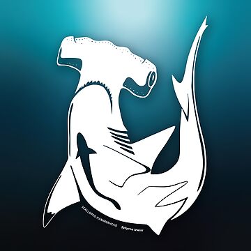 Artwork thumbnail, Scalopped Hammerhead Shark by dootzstudio