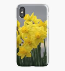 Daffodils iPhone Case
