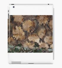 Tree stumps iPad Case/Skin