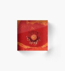 Roaring Red Acrylic Block
