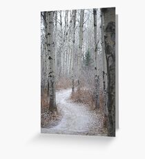 Winter Trail Greeting Card
